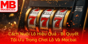 Cach Nuoi Lo Hieu Qua Bi Quyet Toi Uu Trong Choi Lo Va Mocbai