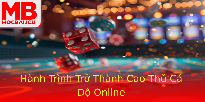 Hành Trình Trở Thành Cao Thủ Cá Độ Online Hành Trình Trở Thành Cao Thủ Cá Độ Online