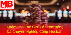 Kham Pha The Gioi Ca Cuoc Bong A Chuyen Nghiep Cung Mocbai Au Tu Thi Truong The Thao Thu Vi Nhat Hie 1