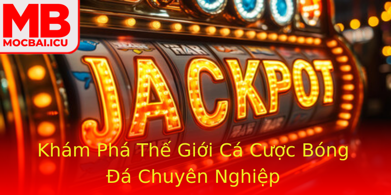 Khám Phá Thế Giới Cá Cược Bóng Đá Chuyên Nghiệp Khám Phá Thế Giới Cá Cược Bóng Đá Chuyên Nghiệp