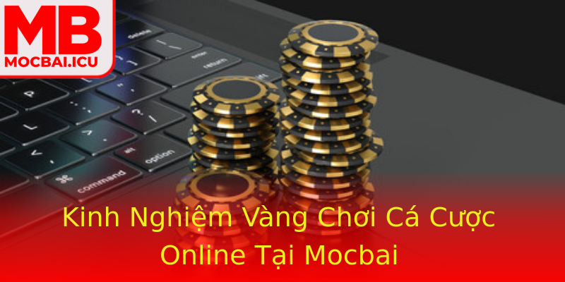 Kinh Nghiệm Vàng Chơi Cá Cược Online Tại Mocbai Kinh Nghiệm Vàng Chơi Cá Cược Online Tại Mocbai