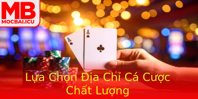 Lựa Chọn Địa Chỉ Cá Cược Chất Lượng Lựa Chọn Địa Chỉ Cá Cược Chất Lượng